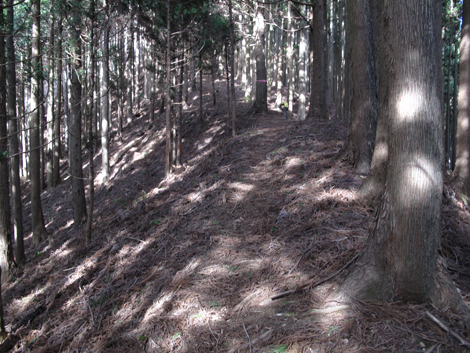 20160121hike (205)